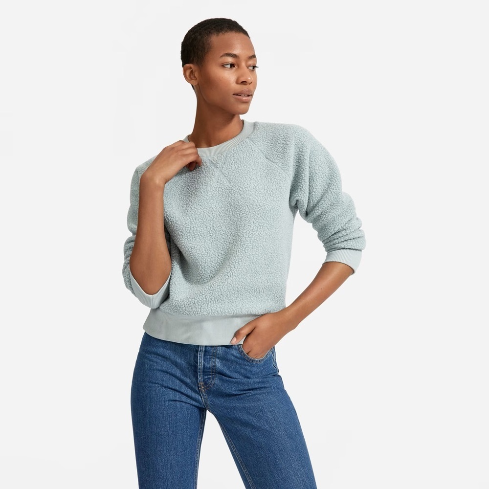 Everlane Tops The Renew Fleece Raglan Sweatshirt Size XS Sherpa